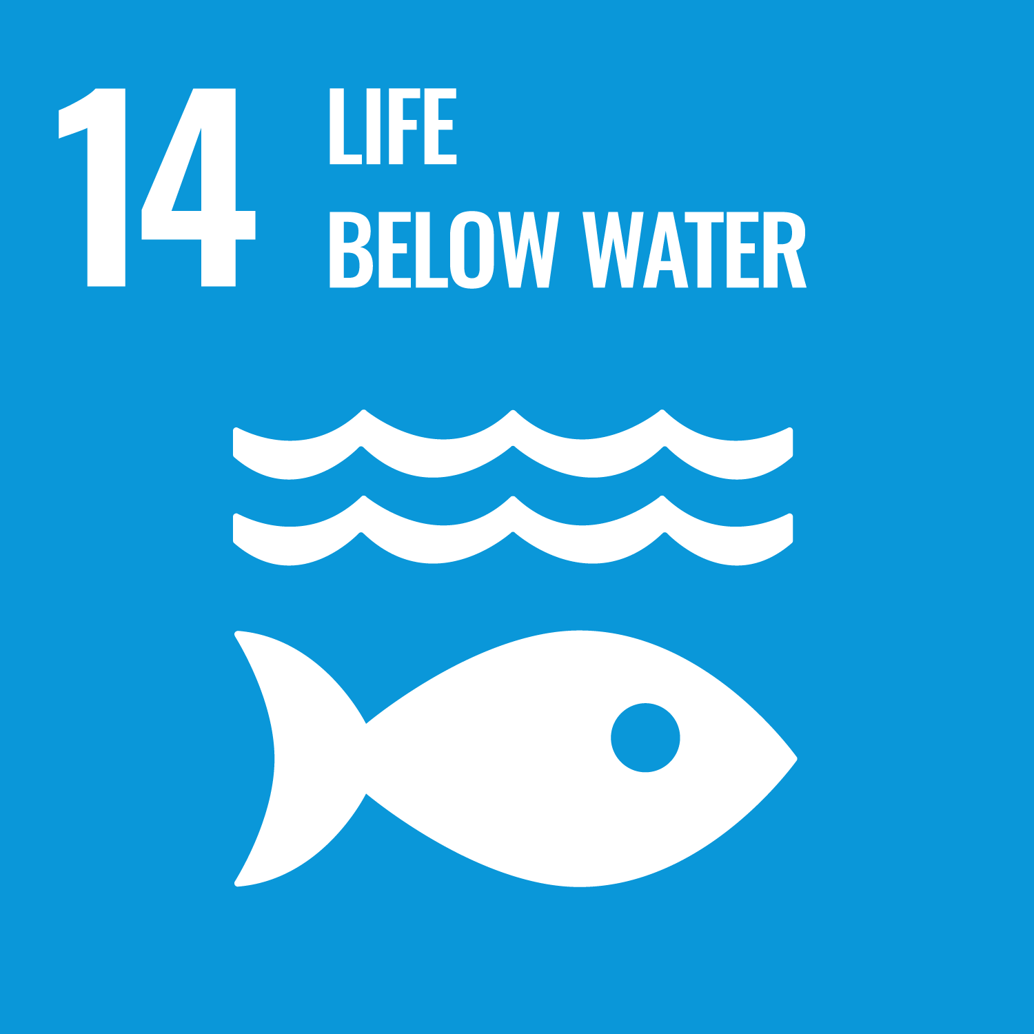 sdg-14-life-below-water-icon