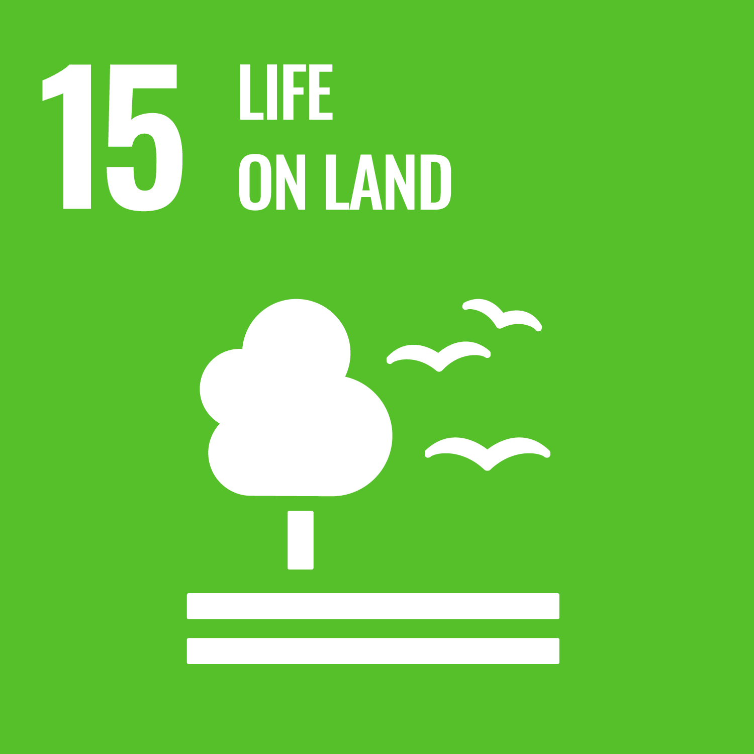 sdg-15-life-and-land-icon