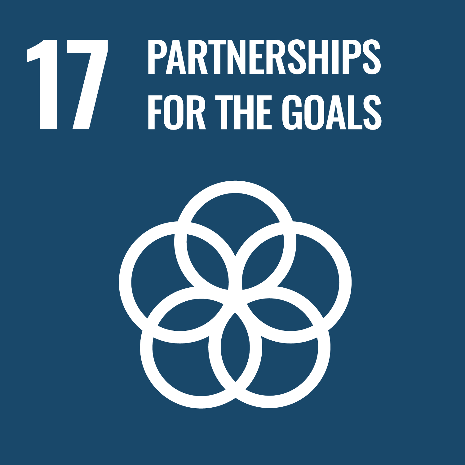 sdg-17-partnerships-for-the-goals-icon