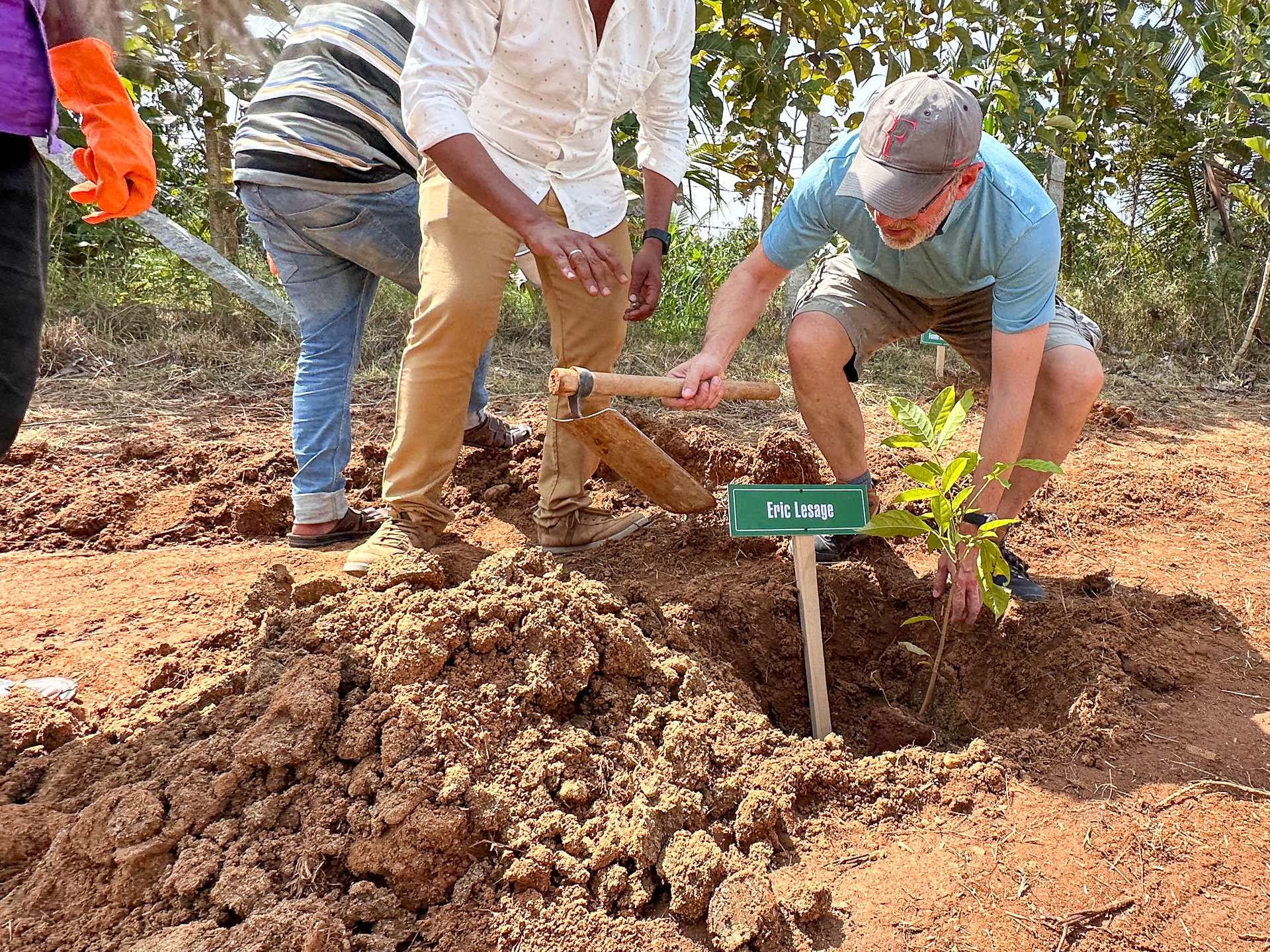 Planting Trees in Dibella Forest