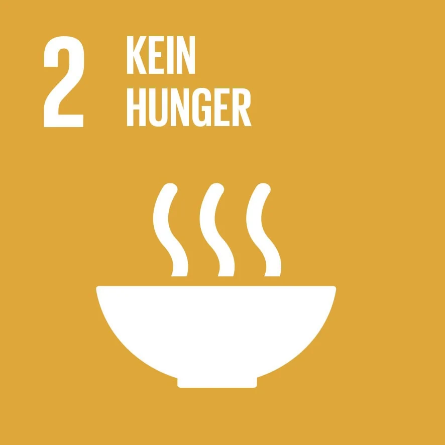 sdg-2-kein-hunger-icon