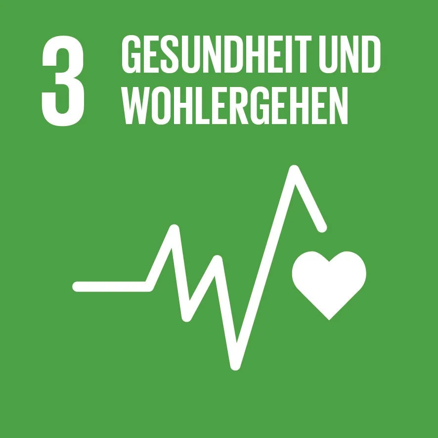 sdg-3-gesundheit-und-wohlergehen-icon