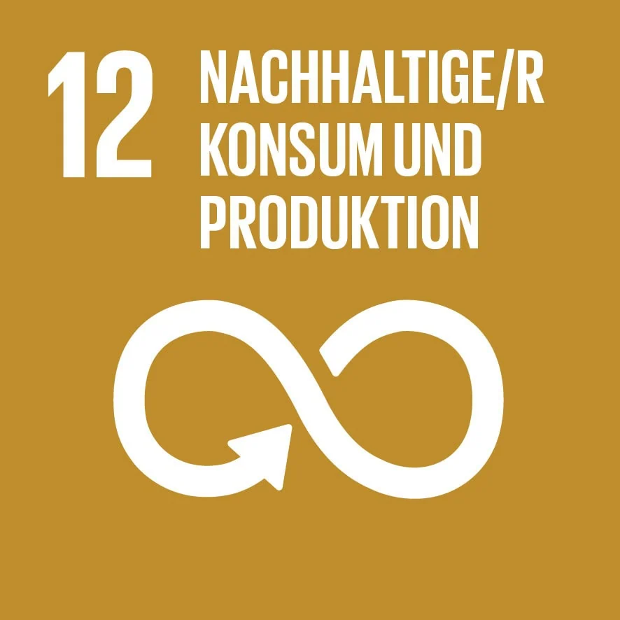 sdg-12-nachhaltiger-kunsum-und-produktion-icon