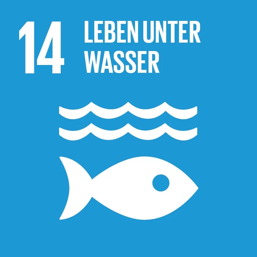 sdg-14-leben-unter-wasser-icon