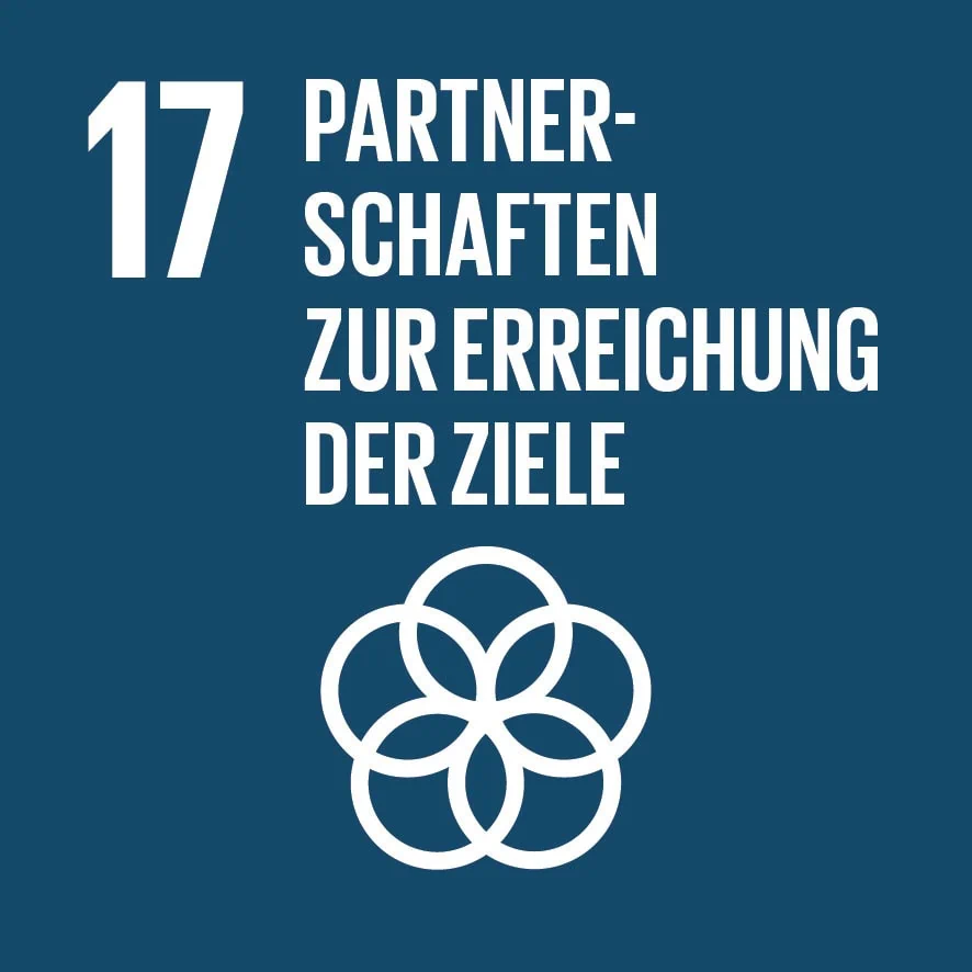 sdg-17-partnerschaften-zur-erreichung-der-ziele-icon