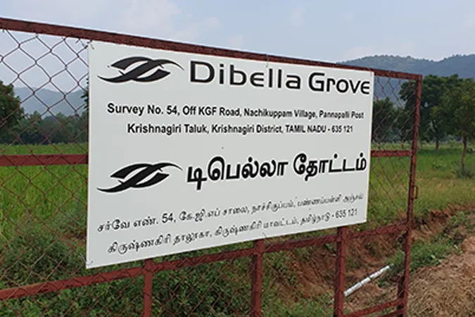 Der Eingang zum Dibella Forest in Telangana, Indien